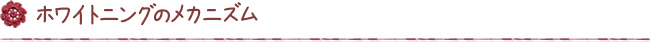 ホワイトニングのメカニズム