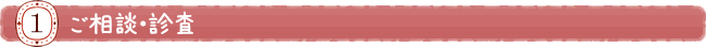 ご相談・診査