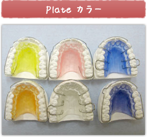Plate カラー